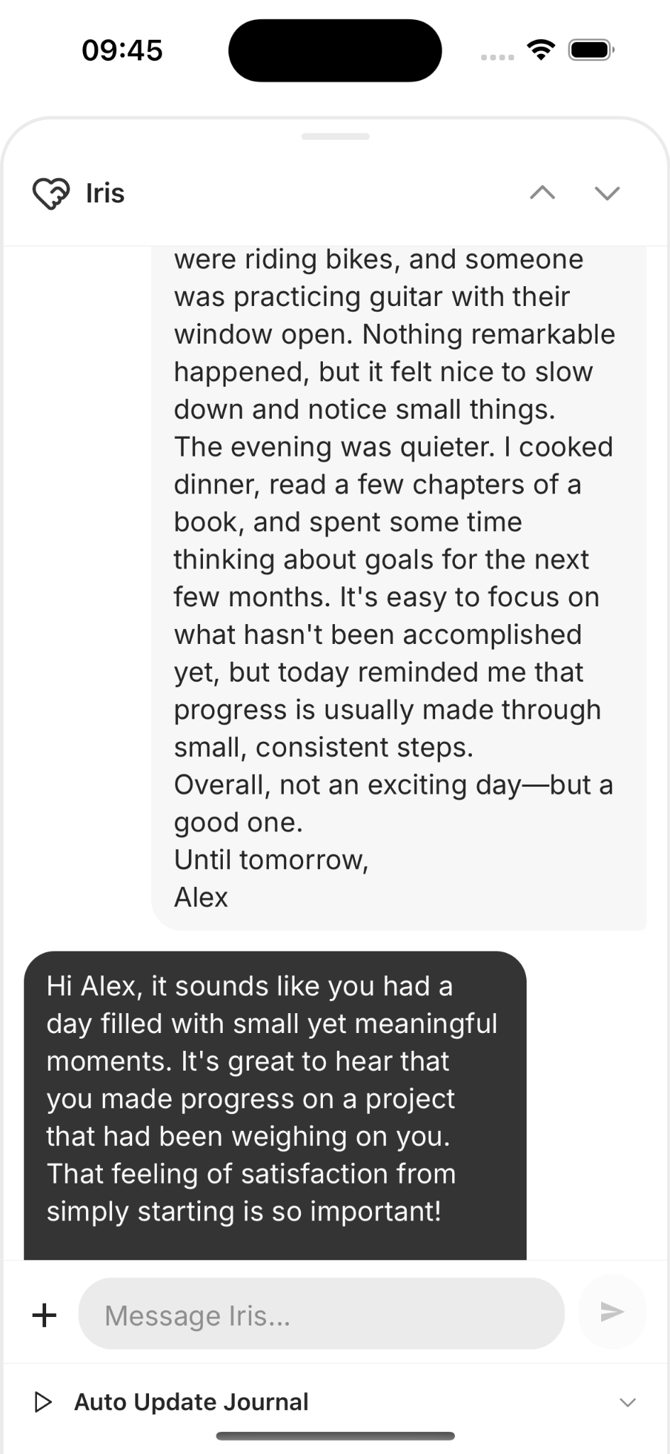 Iris AI companion